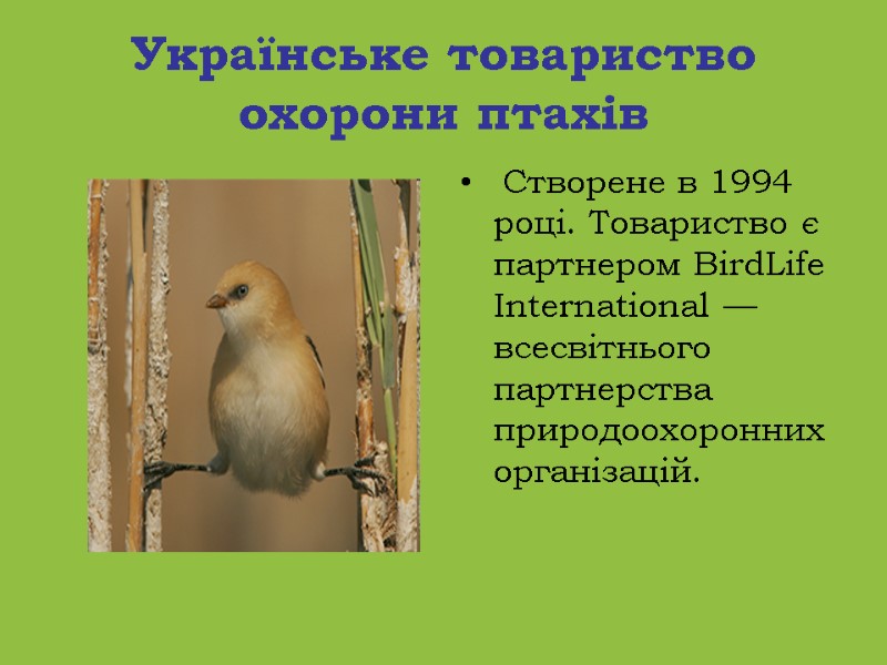 Українське товариство охорони птахів  Створене в 1994 році. Товариство є партнером BirdLife International